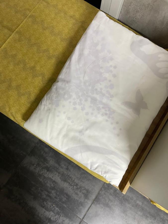 Hostel Del Luna 阿拉木图 外观 照片